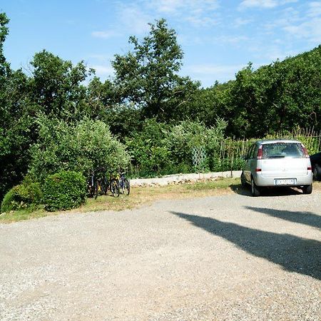 拉鲁福尔拉住宿加早餐旅馆 卡斯特利纳－因基安蒂 外观 照片